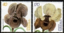 Flowers of Armenia 