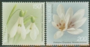 Medical plants and flowers of Armenia II 