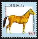 Karabagh Horse 