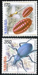 Insects of Armenia. 