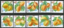 Armenian Apricots, set of 10